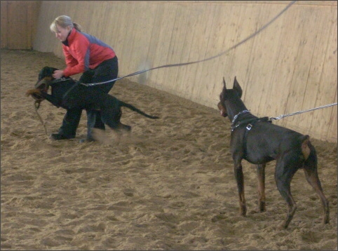 Training in Finland 11/2007